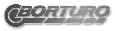 neumaticosborturo.com